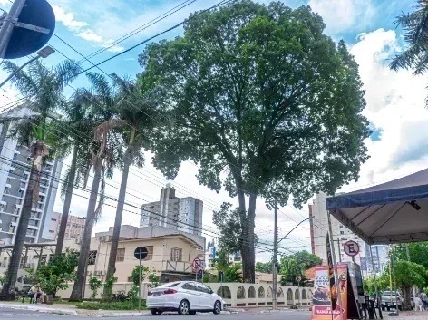 1aa35d41 e6a7 4a87 80c8 e08423eb9c65