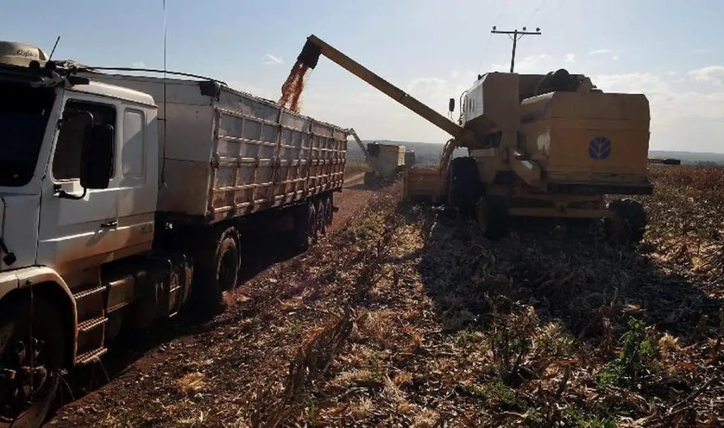 agro pib