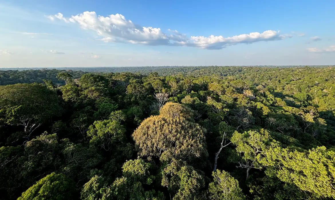 amazonia