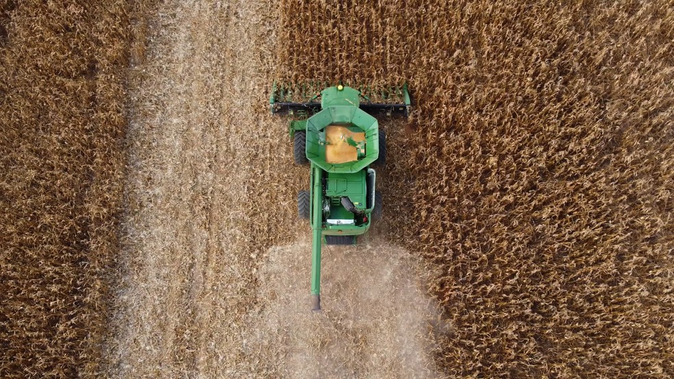 biodiesel foto 7
