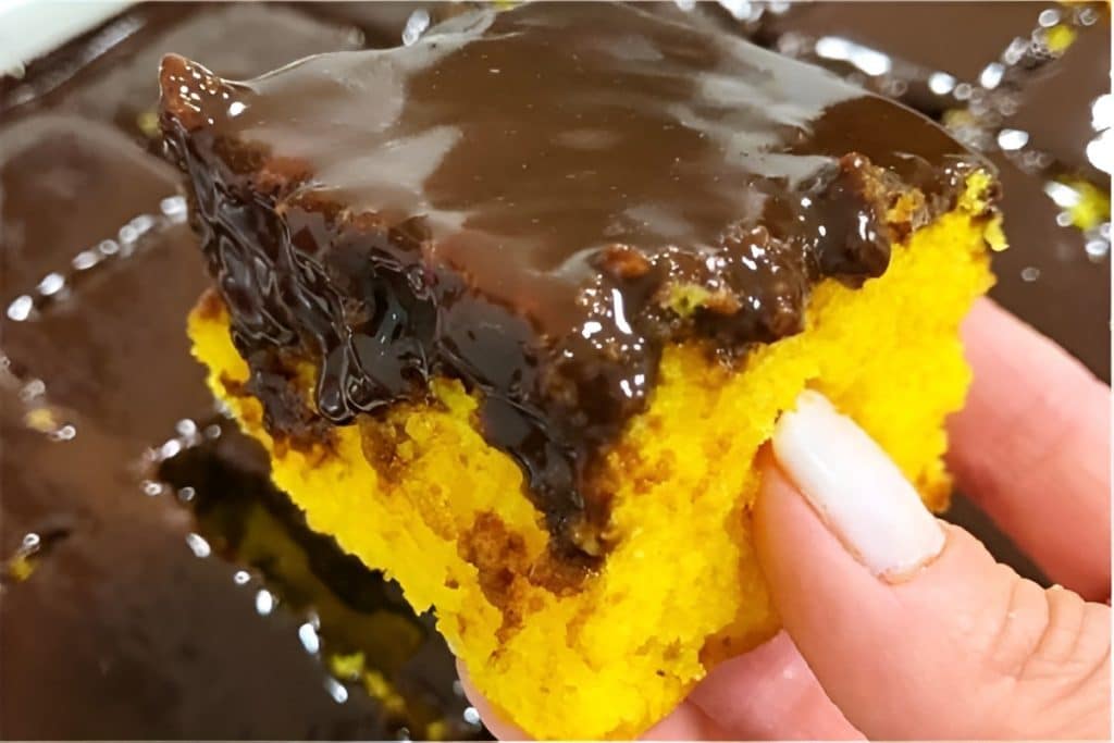 bolo de cenoura 1024x683