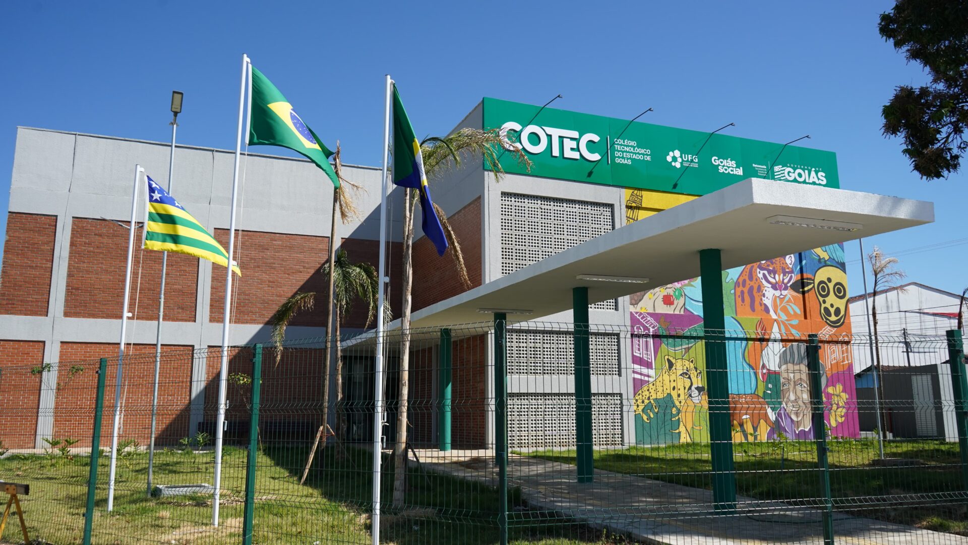 cotec cidade de goias