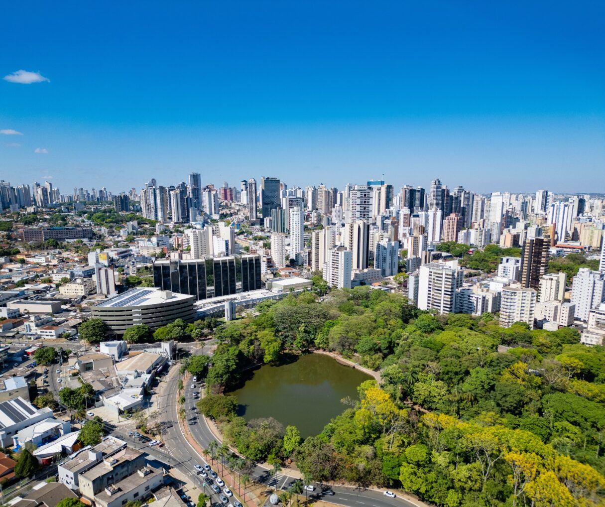 festival do bem goiania1 1215x1018