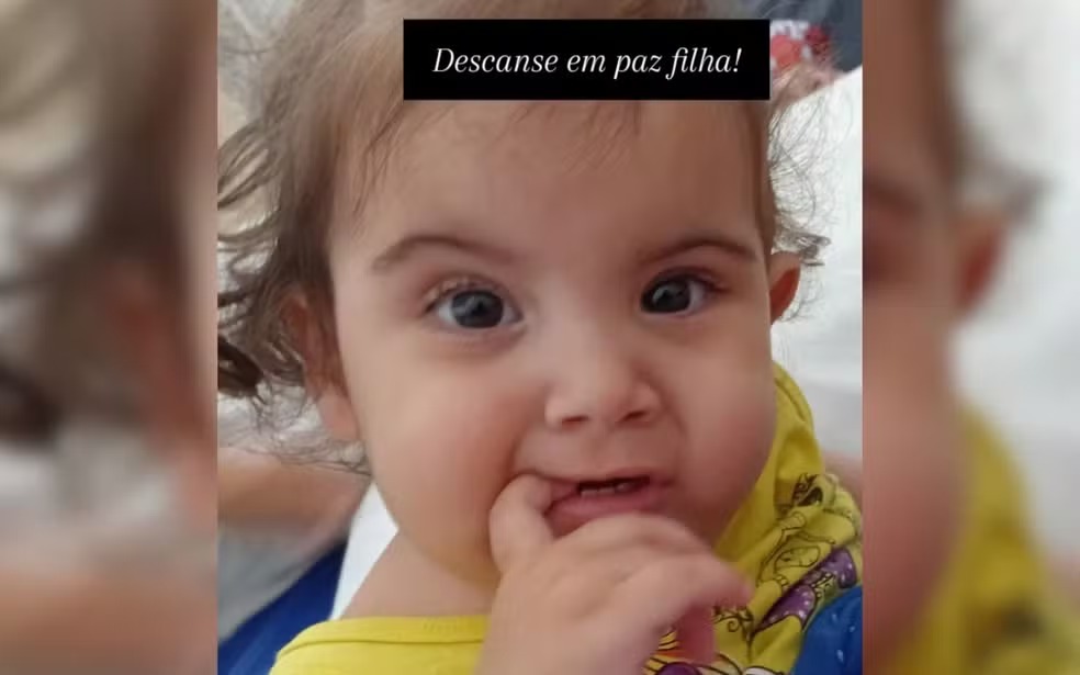 gemea siamesa kiraz