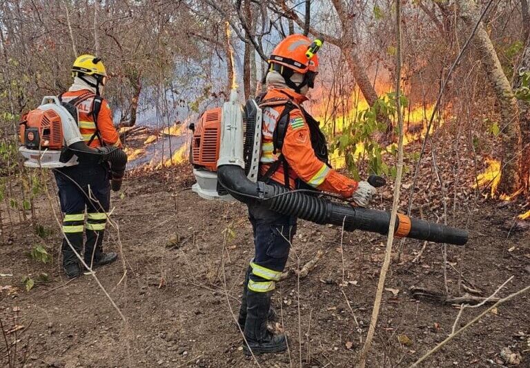 incendio florestal bombeiros
