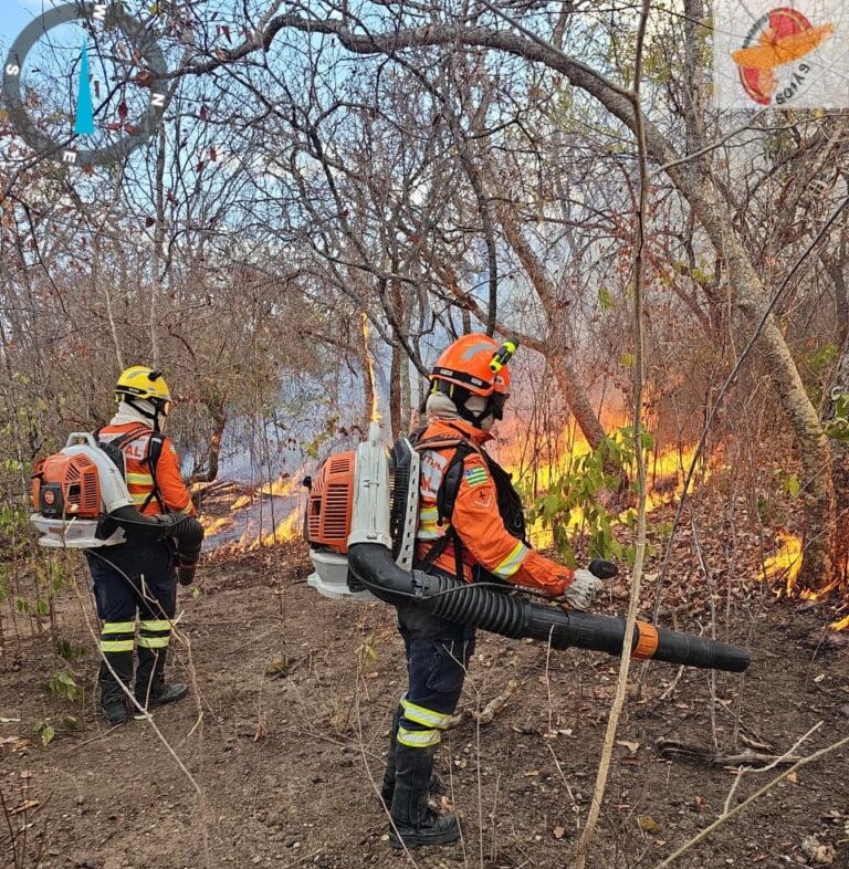 incendio florestal bombeiros