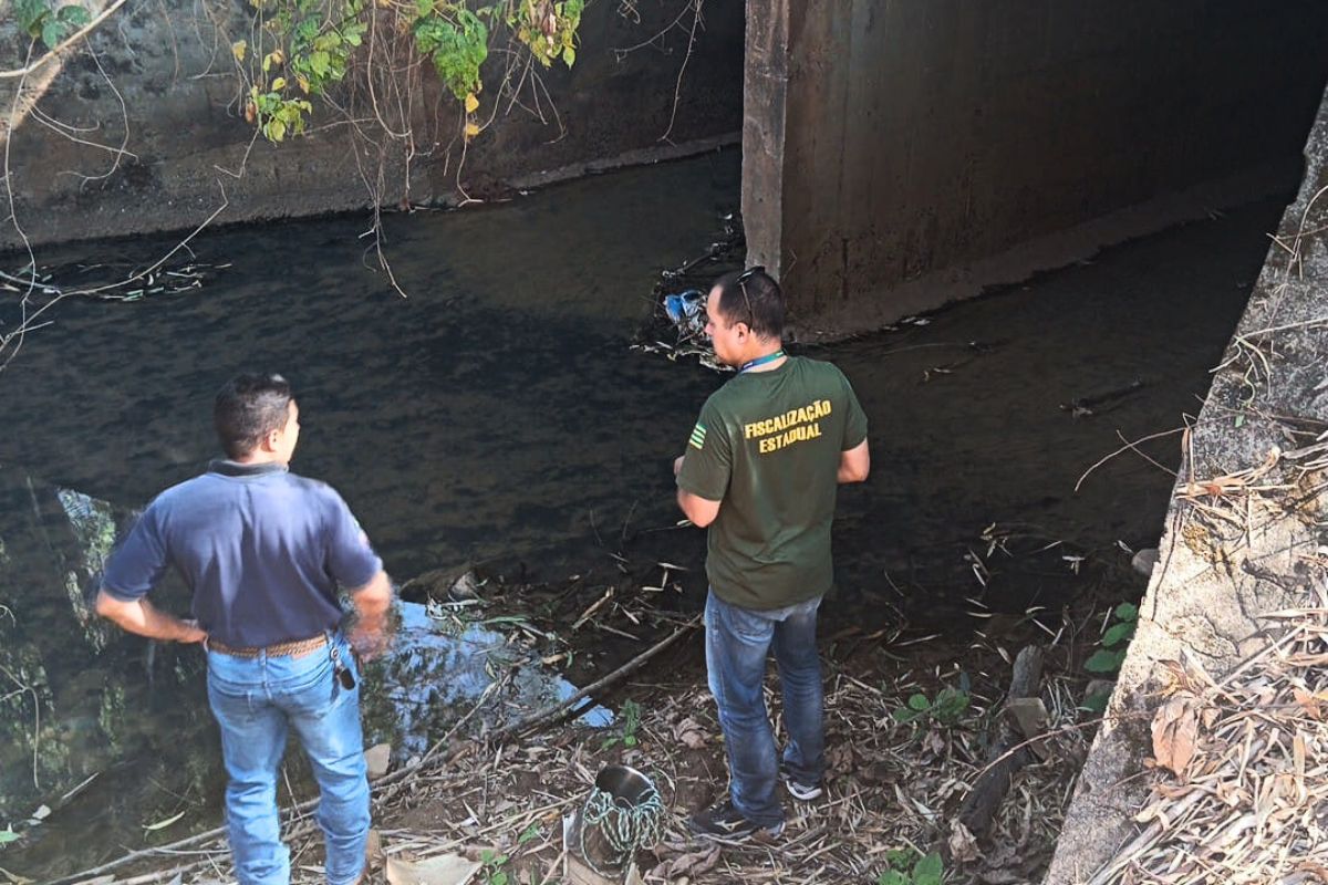 morte de peixes em paminopolis