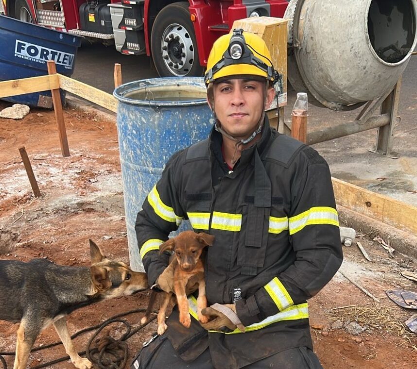 resgate caes bombeiros 1