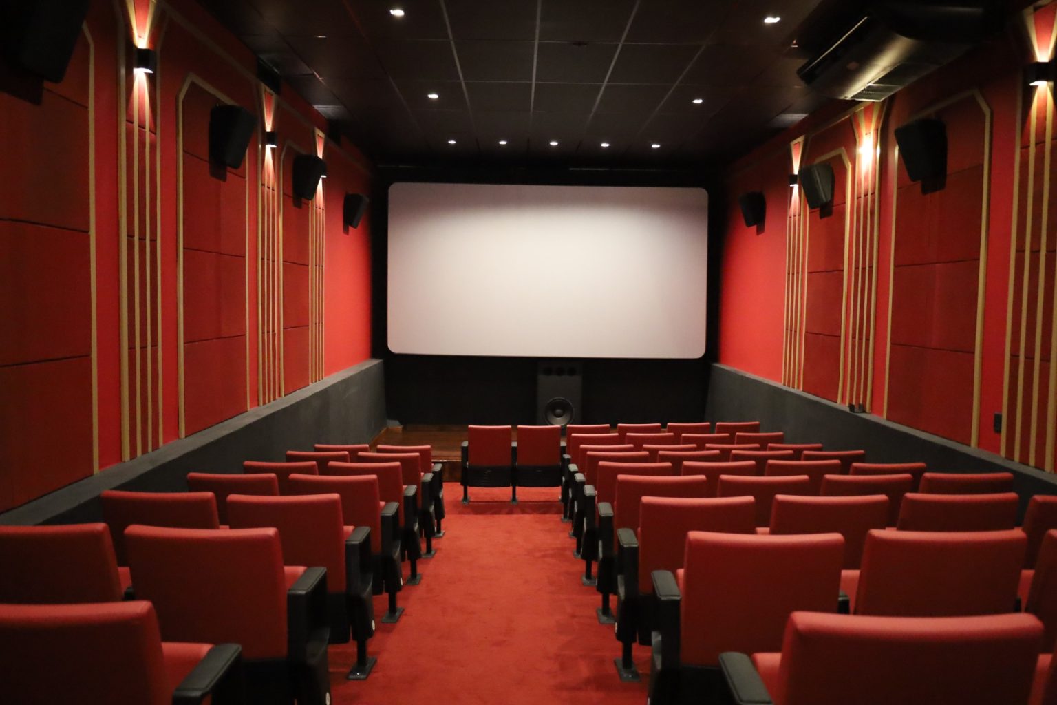 secult cine cultura 1 1536x1024